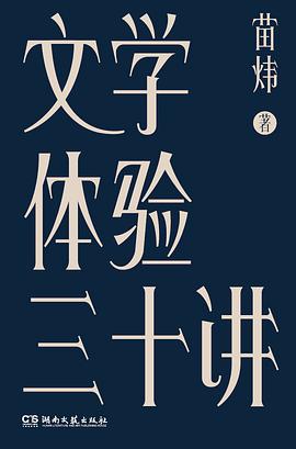 《文学体验三十讲 : 陪你度过这时代的晚上》苗炜电子书下载