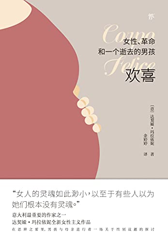 《欢喜：女性、革命和一个逝去的男孩》达契娅·玛拉依妮电子书下载